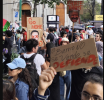 Chairos AntiGringos en CDMX